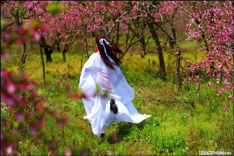 【春天，广西桂林灌阳县向您发出邀请！】官庄村有个醉美的桃花园 - 游山玩水 - 赤峰生活社区 - 赤峰28生活网 chifeng.28life.com