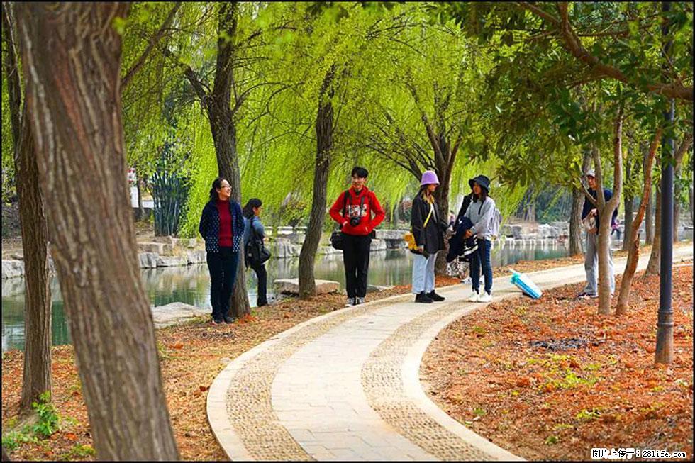 【春天,广西桂林灌阳县向您发出邀请!】江口老街又逢春 - 游山玩水 - 赤峰生活社区 - 赤峰28生活网 chifeng.28life.com