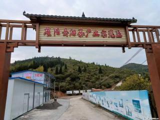 【灌阳县油茶产业示范区】一个有着充实的精神生活的人,对待身外之物自会有一种淡泊的态度 - 赤峰28生活网 chifeng.28life.com