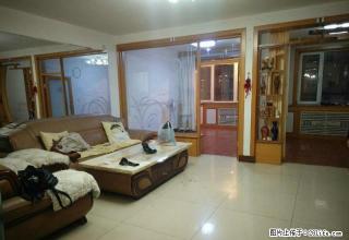 向阳三组 家具家电齐全 南北通透 拎包入住 - 赤峰28生活网 chifeng.28life.com