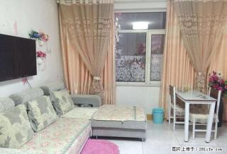 黄金大厦旁 年租1.3万 温馨小户型 干净拎包入住 - 赤峰28生活网 chifeng.28life.com
