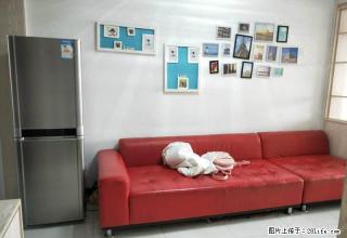 精装修 家具家电齐全 看房就能相中 - 赤峰28生活网 chifeng.28life.com