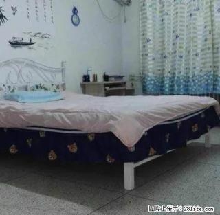 首.次出租家具家电全新特别干净两室每月租金不到900 - 赤峰28生活网 chifeng.28life.com