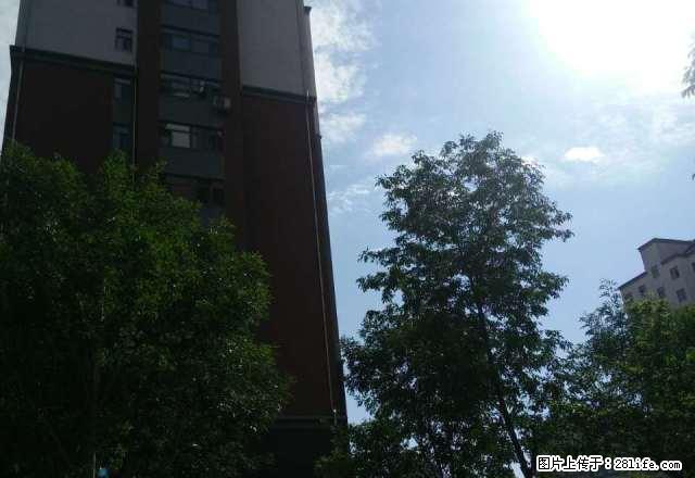 河畔骏景 价格低!中间楼层 3室1卫 好房子! - 房屋出租 - 房屋租售 - 赤峰分类信息 - 赤峰28生活网 chifeng.28life.com
