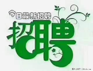 上海隔离酒店招人:55岁以下 男女不限 - 赤峰28生活网 chifeng.28life.com