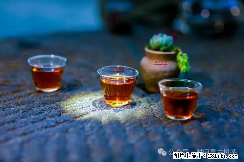 时间果百年古树2025年春红茶 - 购物交流 - 赤峰生活社区 - 赤峰28生活网 chifeng.28life.com