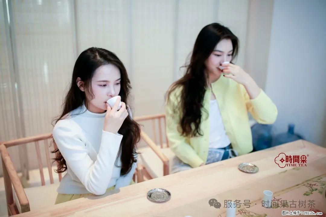 时间果百年古树龙珠普洱生茶 - 购物交流 - 赤峰生活社区 - 赤峰28生活网 chifeng.28life.com