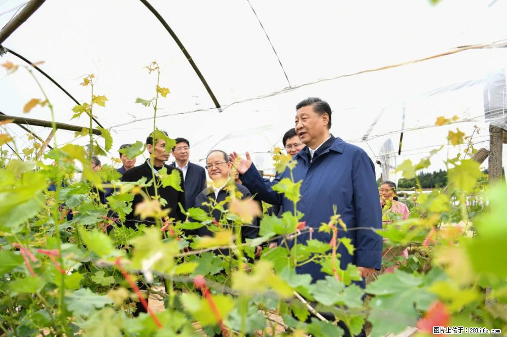 习近平赴广西考察调研 - 赤峰生活资讯 - 赤峰28生活网 chifeng.28life.com