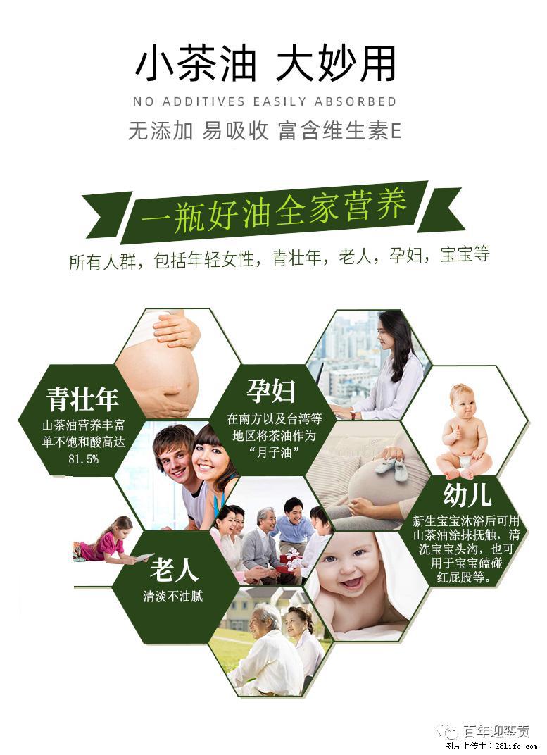世界没有真相,只有认知,最好的食用油是中国的山茶油! - 赤峰生活资讯 - 赤峰28生活网 chifeng.28life.com