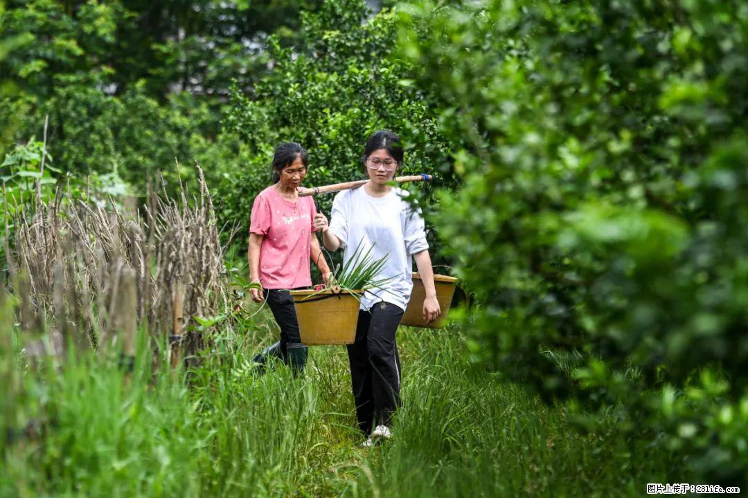 全网追的“扁担女孩”，找了一份暑假工，时薪12元 - 赤峰生活资讯 - 赤峰28生活网 chifeng.28life.com