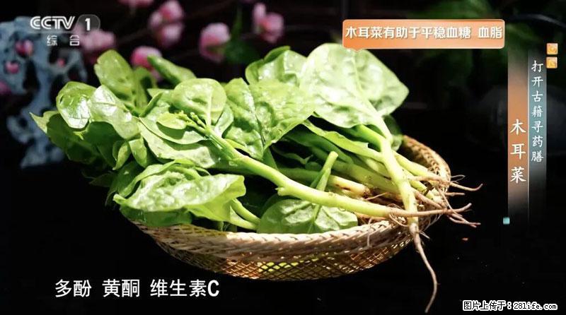 比牛奶补钙还厉害！凉血解毒、稳血糖...这菜冬天必吃，很多人却当草 - 赤峰生活资讯 - 赤峰28生活网 chifeng.28life.com