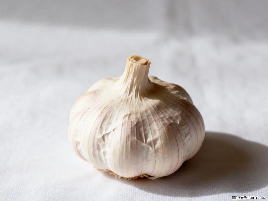 关于大蒜，除了“天然抗生素”，这4个谣言更该警惕! - 赤峰生活资讯 - 赤峰28生活网 chifeng.28life.com