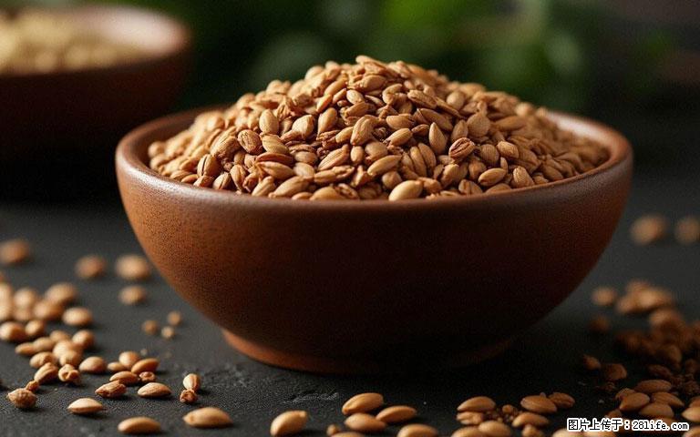 这三苦是三高“克星”，心血管干净不易堵！每天吃一点，指标慢慢降下来~ - 赤峰生活资讯 - 赤峰28生活网 chifeng.28life.com