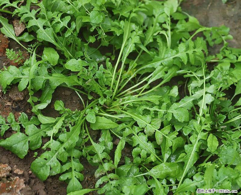 这些蔬菜是“天然钙片”，这6种被医生重点推荐 - 赤峰生活资讯 - 赤峰28生活网 chifeng.28life.com