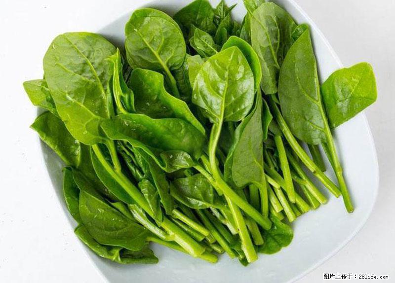 这些蔬菜是“天然钙片”，这6种被医生重点推荐 - 赤峰生活资讯 - 赤峰28生活网 chifeng.28life.com